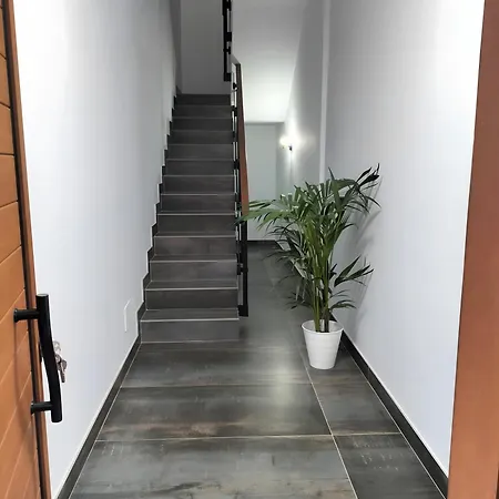 El Mirador 모야